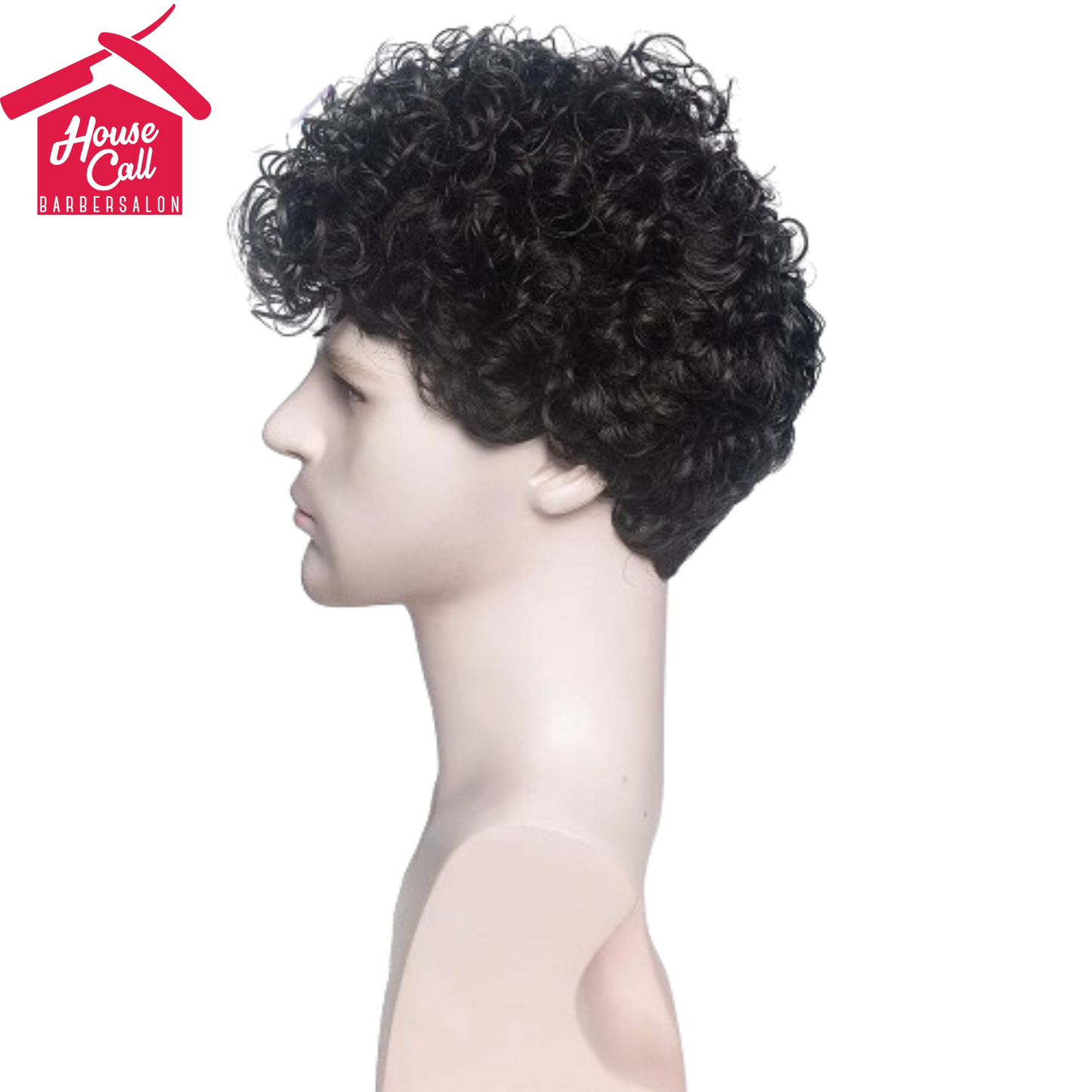 Synthetic Man Wigs Black Short Curly For Men Wigs