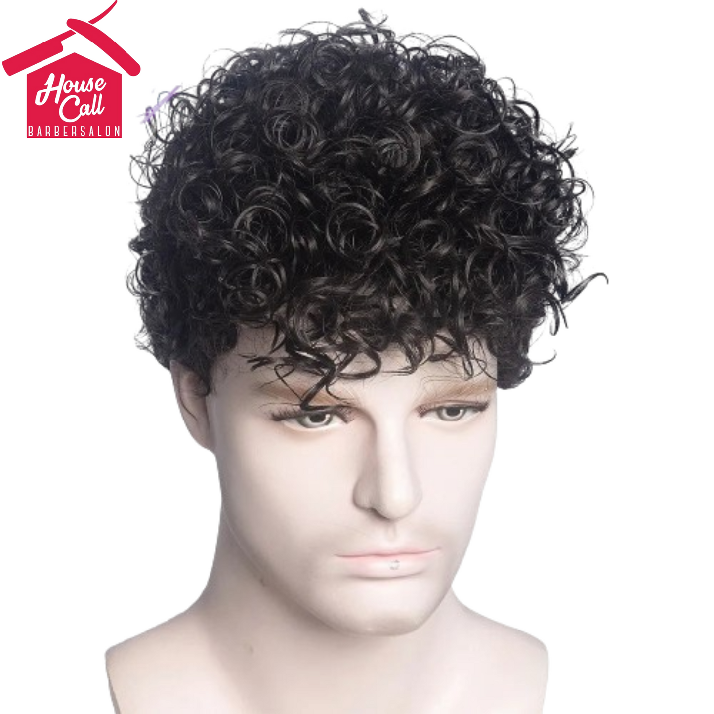 Synthetic Man Wigs Black Short Curly For Men Wigs
