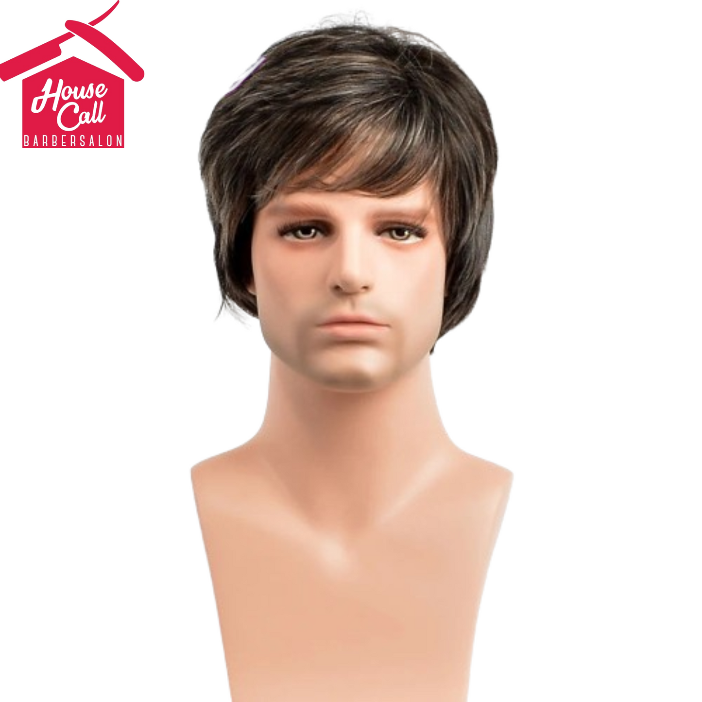 Synthetic Man Wigs  Black Short Curly For Men Wigs