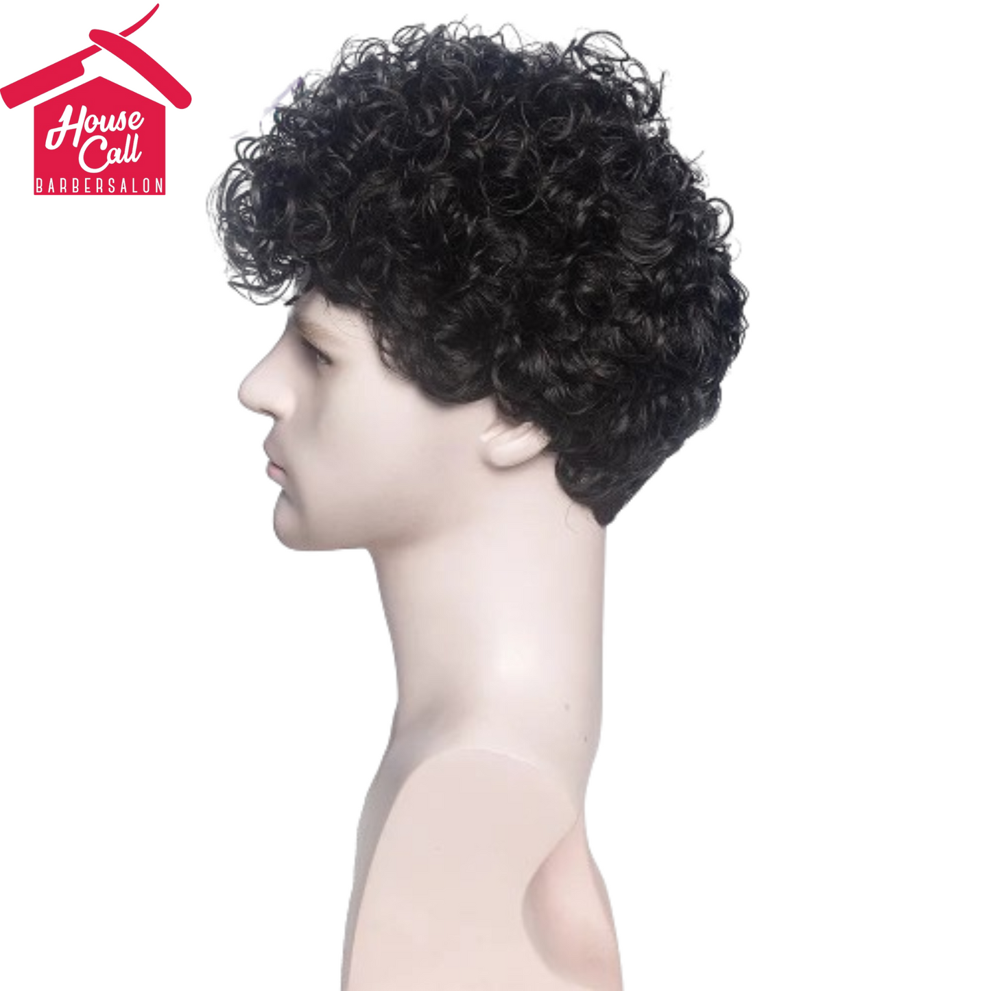 Synthetic Man Wigs  Black Short Curly For Men Wigs