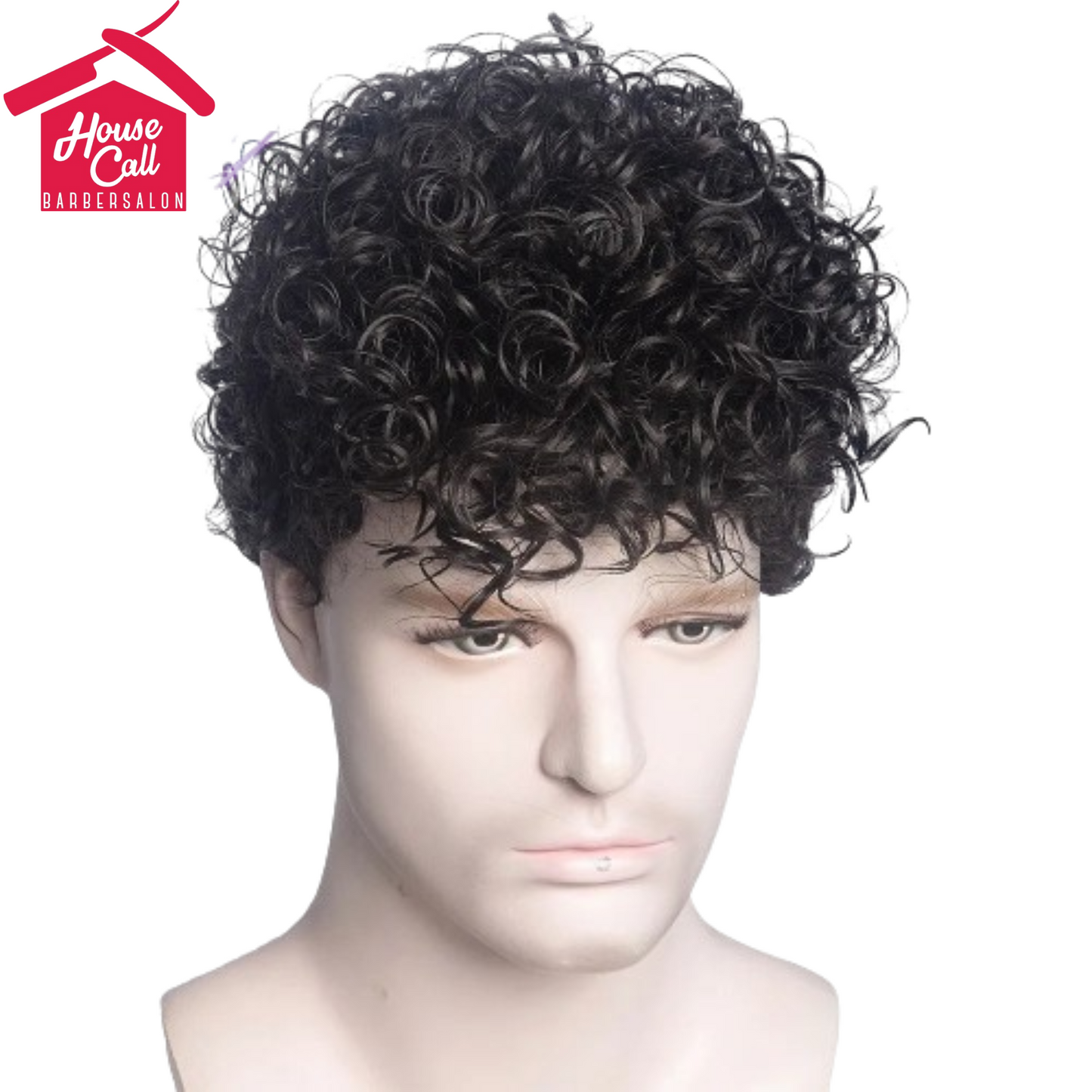 Synthetic Man Wigs  Black Short Curly For Men Wigs